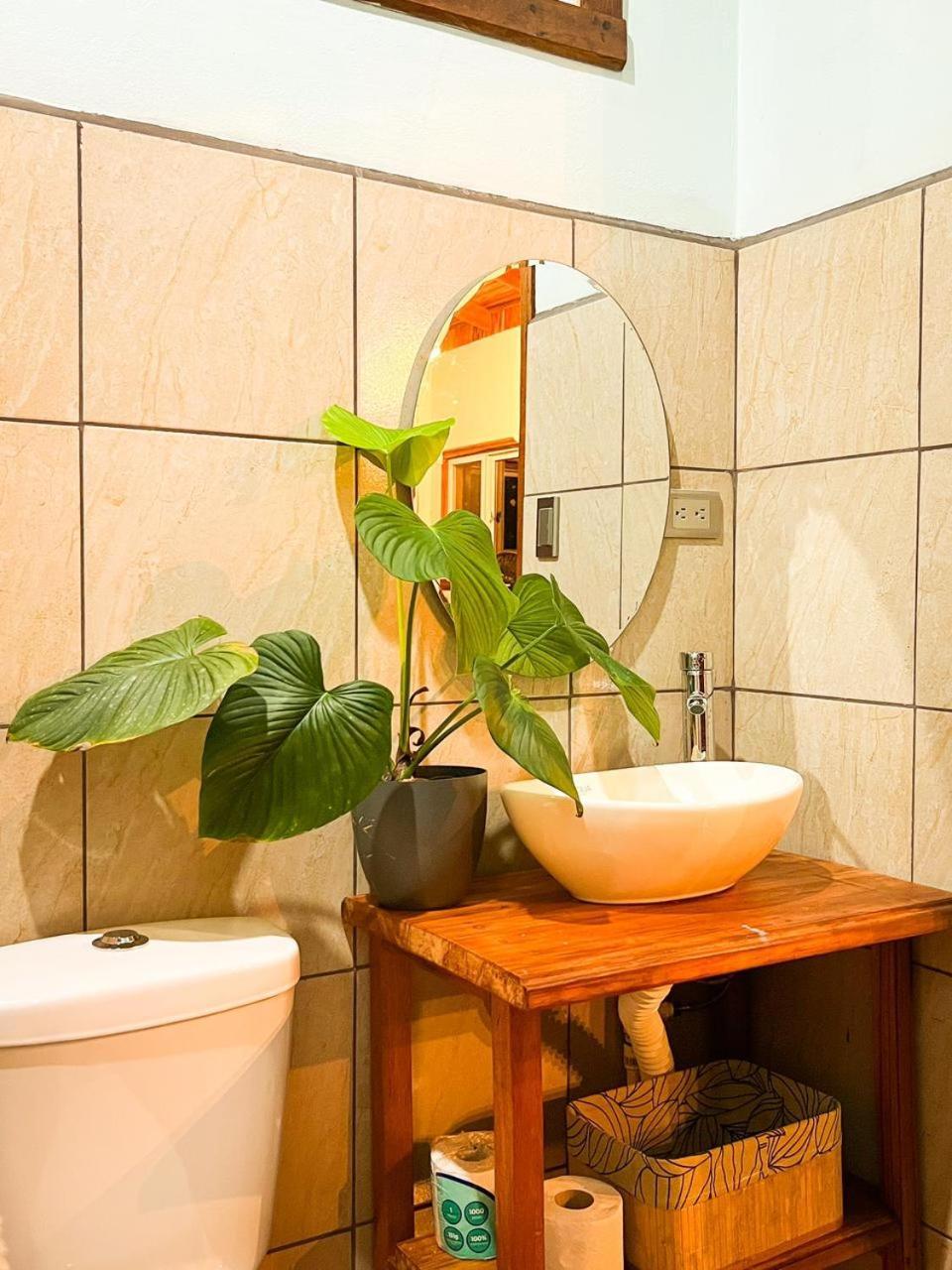 Ficus House Leilighet Boca Tapada Eksteriør bilde